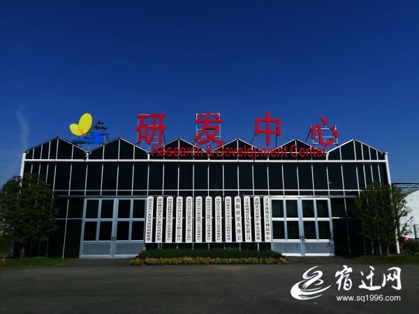 |泗阳来安：一片叶子繁育成100万株花卉，带动一方产业