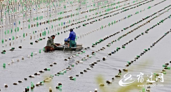 高清1080P在线观看平台_腾讯视频(图1)