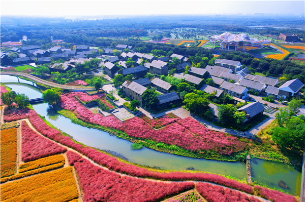 宿迁三台山邀你共赴一场与"花海"的约会