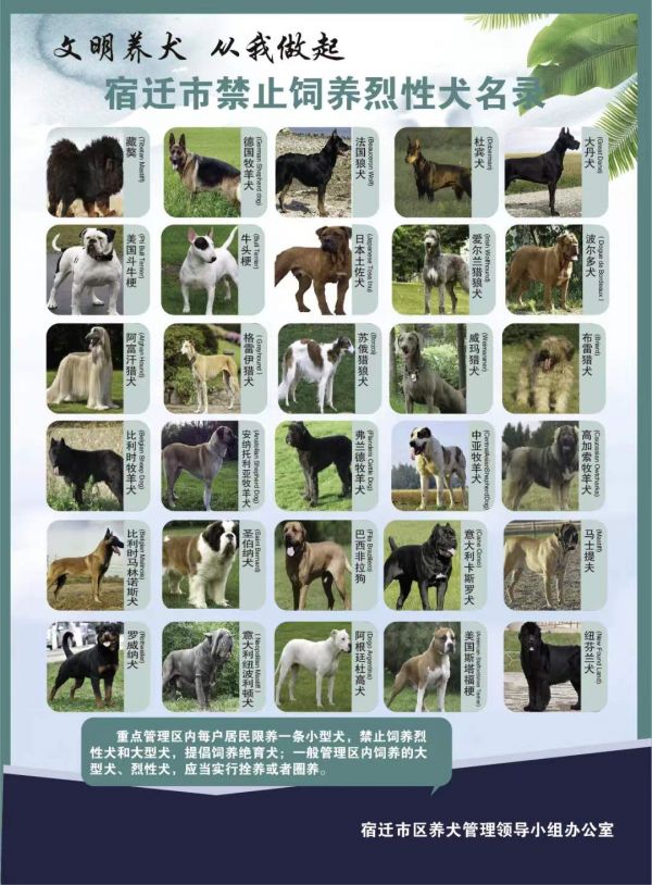 宿迁公布养犬重点管理区内禁养的30种烈性犬品种