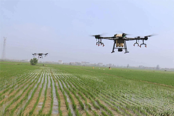 从“自己吃饱”到供给国家