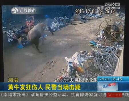 QQ截图20170215153455.jpg