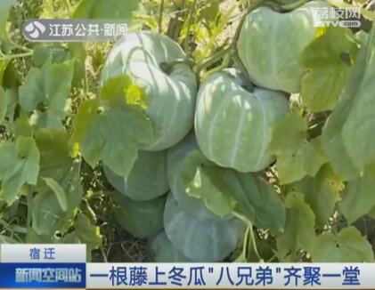 QQ截图20170922172223.jpg