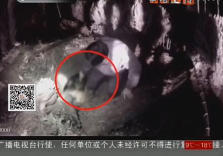 QQ截图20171117171329.jpg