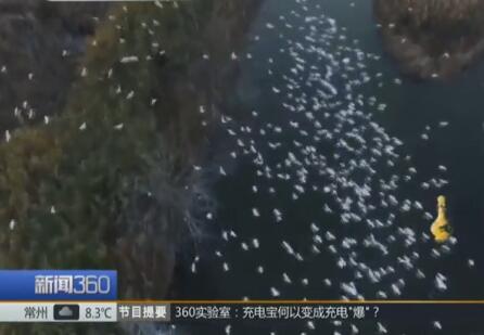 QQ截图20171204170115.jpg