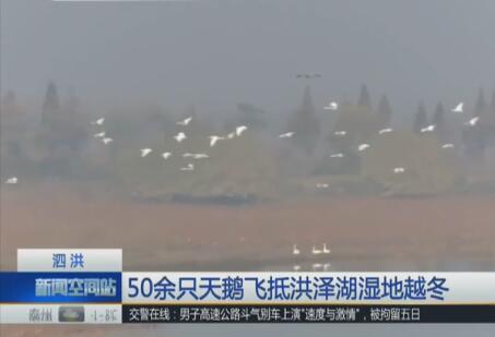 QQ截图20171207161009.jpg