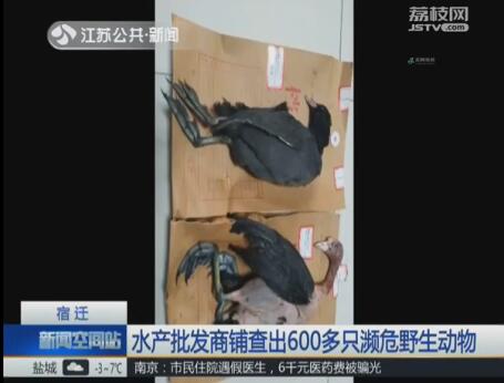 QQ截图20171221174214.jpg