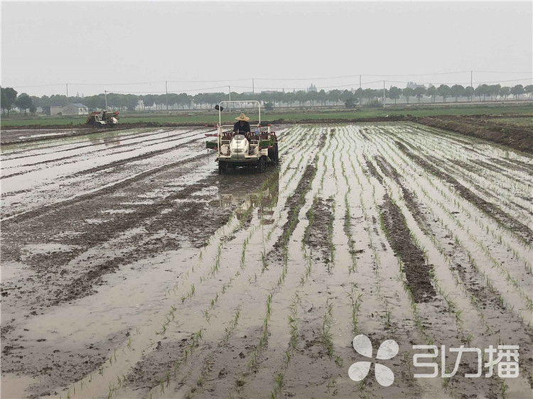 苏州推进生态农业建设 四个百万亩保有量稳定