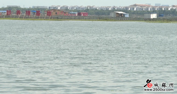 今年阳澄湖大闸蟹将于9月21日开捕 比去年提前两天