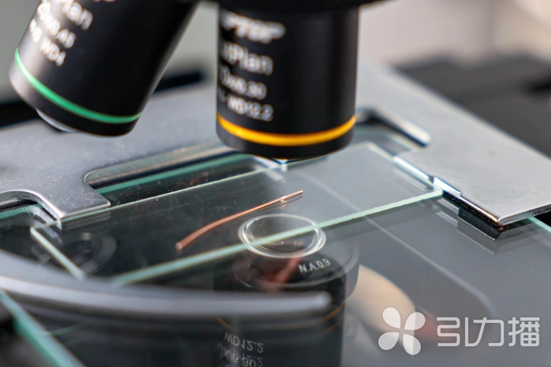 米乐 M6米乐昆山博士后夫妻开拓“新材料之王”产业蓝海(图2)