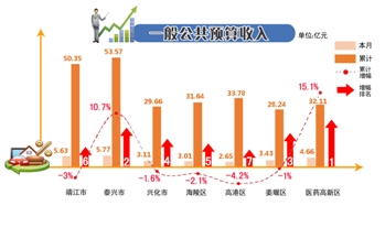 江苏泰州l8年经济总量_江苏泰州美女(2)