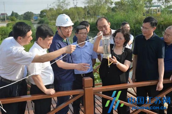 守护绿水青山间的诗意与乡愁——高港区委书记顾萍带队督查核心港区