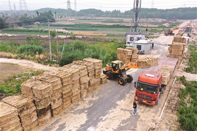 |设立田边临时打包车间 提高秸秆综合利用率