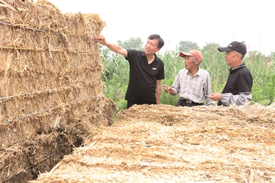 |设立田边临时打包车间 提高秸秆综合利用率