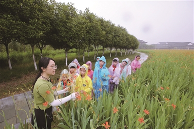 |小学生走进中药科技园