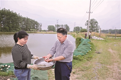 |泰兴“环保鱼” 被纳入国家增殖放流名录