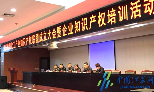 泰兴经济开发区举办精细化工产业知识产权联盟