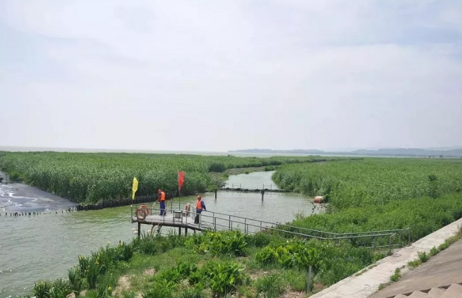 太湖|厚植绿色底蕴 太湖西岸3年清淤320万方