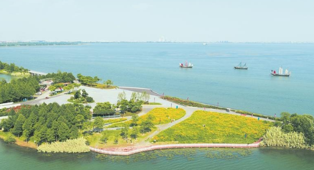 |无锡砥砺攻坚推进太湖治理 还一湖碧水