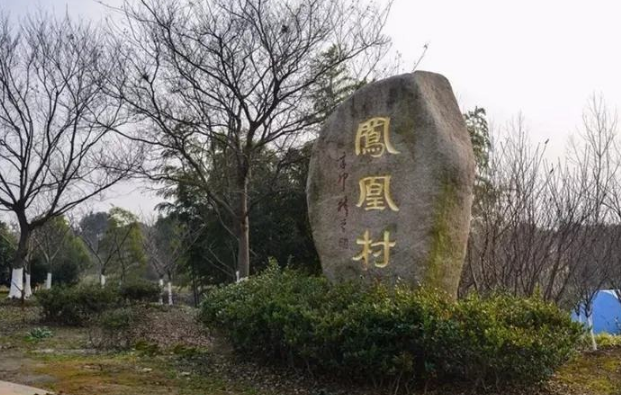 民生|看宜兴张渚镇凤凰村的“涅槃重生”