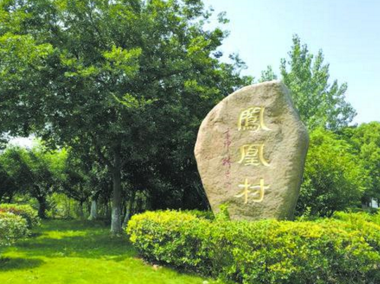民生|无锡凤凰村的“涅槃重生”