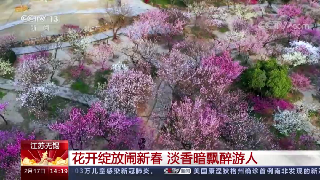 梅氏全国人口_梅氏利维坦鲸(2)