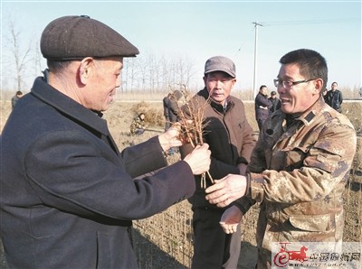 我国农民收入_...多种经营增收——酒泉肃州区丰乐乡“三大产业”增加农民收入