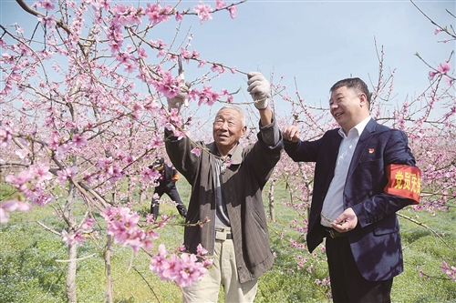 []桃花园里 抢农时