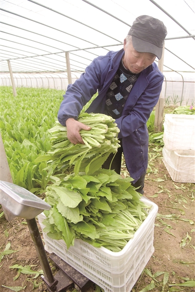 『』致富奔小康 田野涌春潮