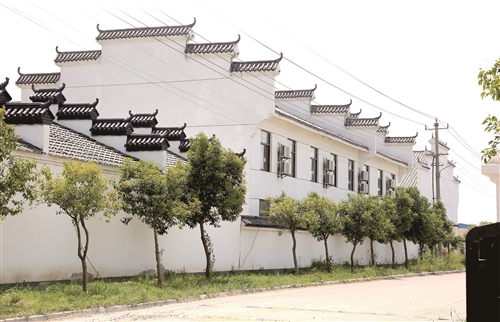 ：一个现代农业重镇的发展韧劲