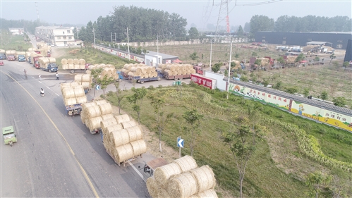 |废秸秆变成了“软黄金”