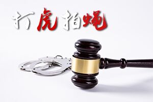 打虎拍蝇1.jpg