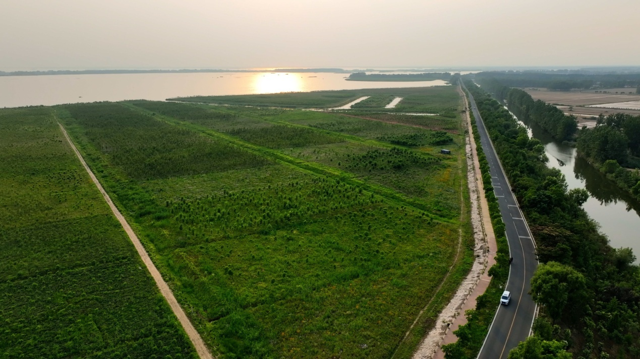 新沂市踐行耕地和生態(tài)用地增量提質(zhì)增效 推進(jìn)國家生態(tài)園林城市建設(shè)(圖2)