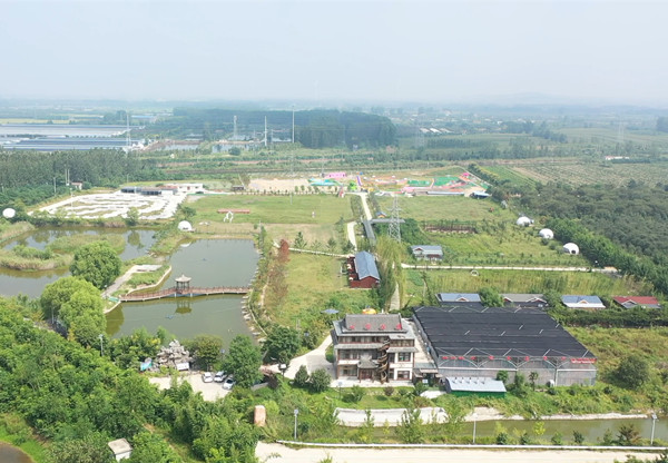 新沂：加快农业农村重大项目建设助力乡村产业高质量发展开云体育 开云官网(图2)