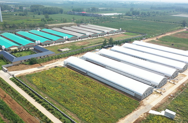 新沂：加快农业农村重大项目建设助力乡村产业高质量发展开云体育 开云官网(图4)