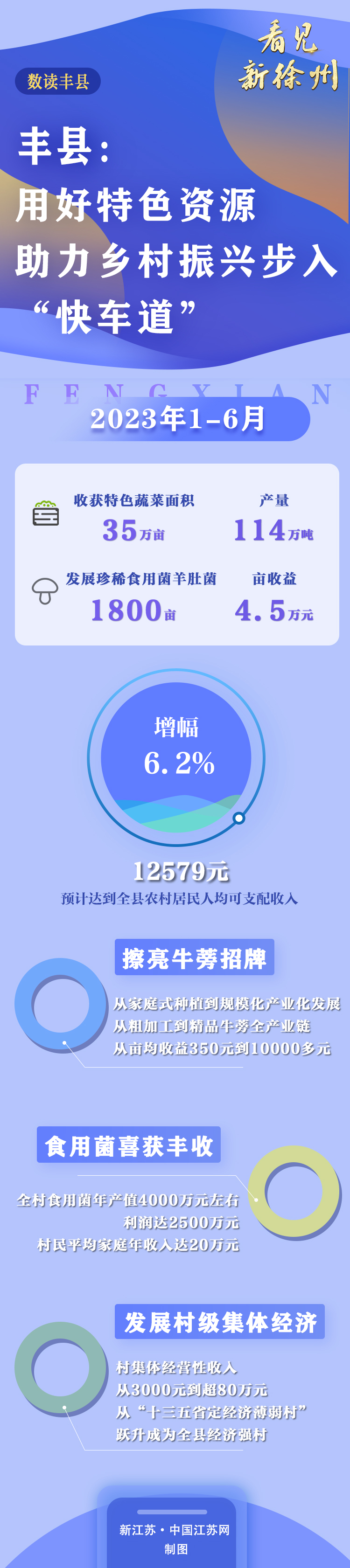 看见新徐州丨丰县：用好特色资源助力乡村振兴步入“快车道”