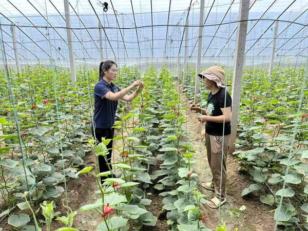 徐州生物工程职业技术学院：大力培育高素质农民激活乡村振兴“人才活水”电竞竞猜官网官方电竞竞猜官网平台(图3)