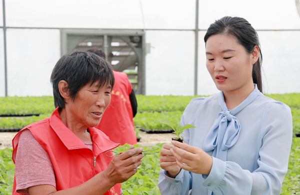 徐州生物工程职业技术学院：大力培育高素质农民激活乡村振兴“人才活水”电竞竞猜官网官方电竞竞猜官网平台(图4)