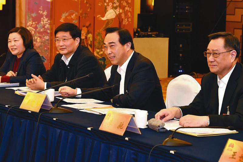 王荣平参加东台代表团审议