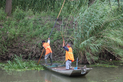 建湖县高作镇开展水环境整治