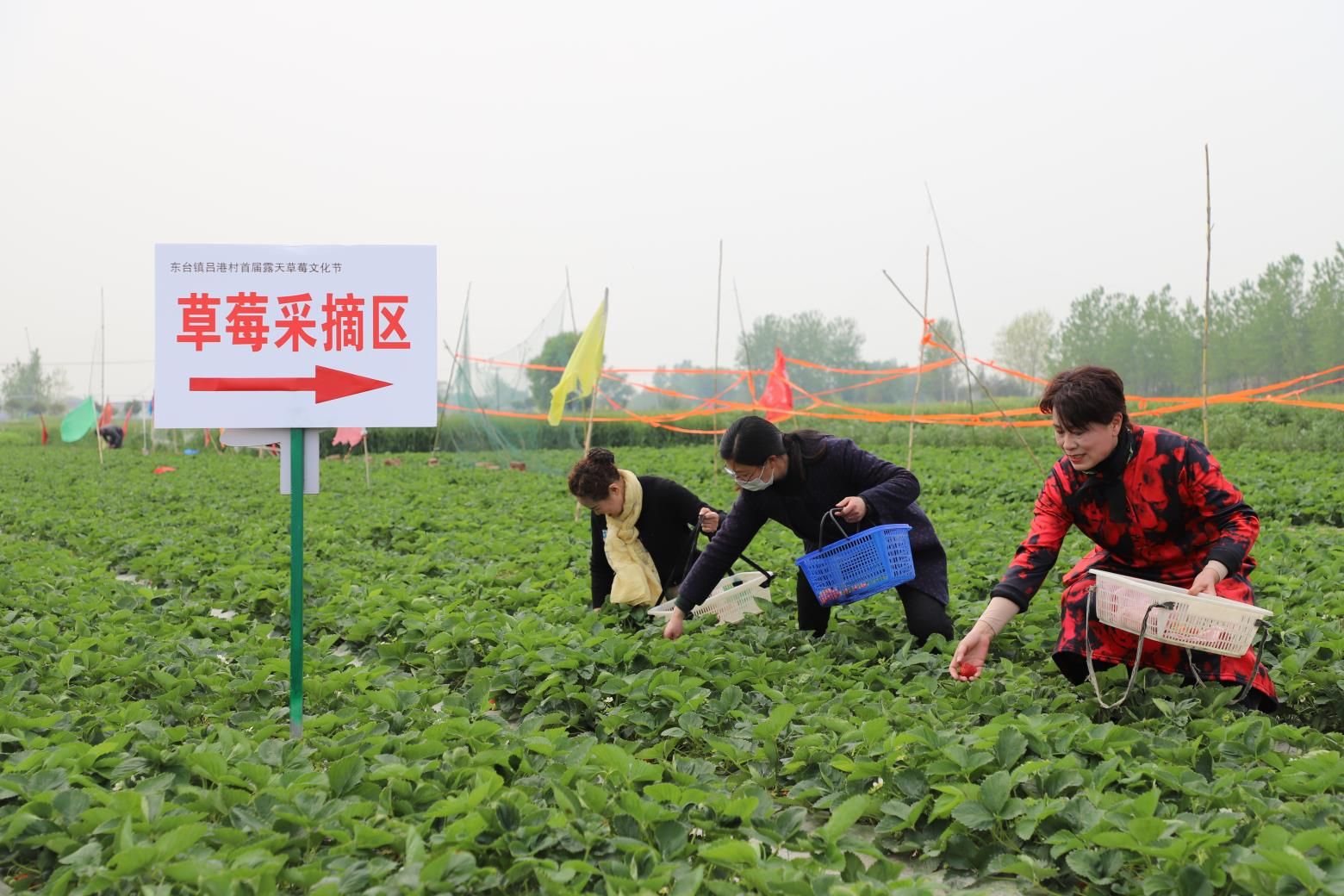 []东台镇吕港村举办草莓文化艺术节