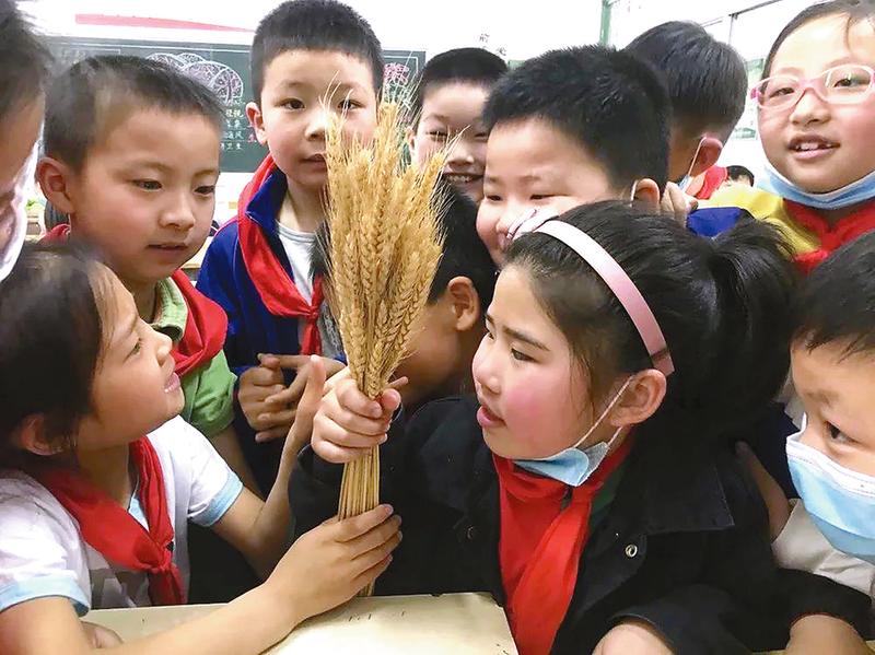 「」“认识小满传承文化”节气教育活动