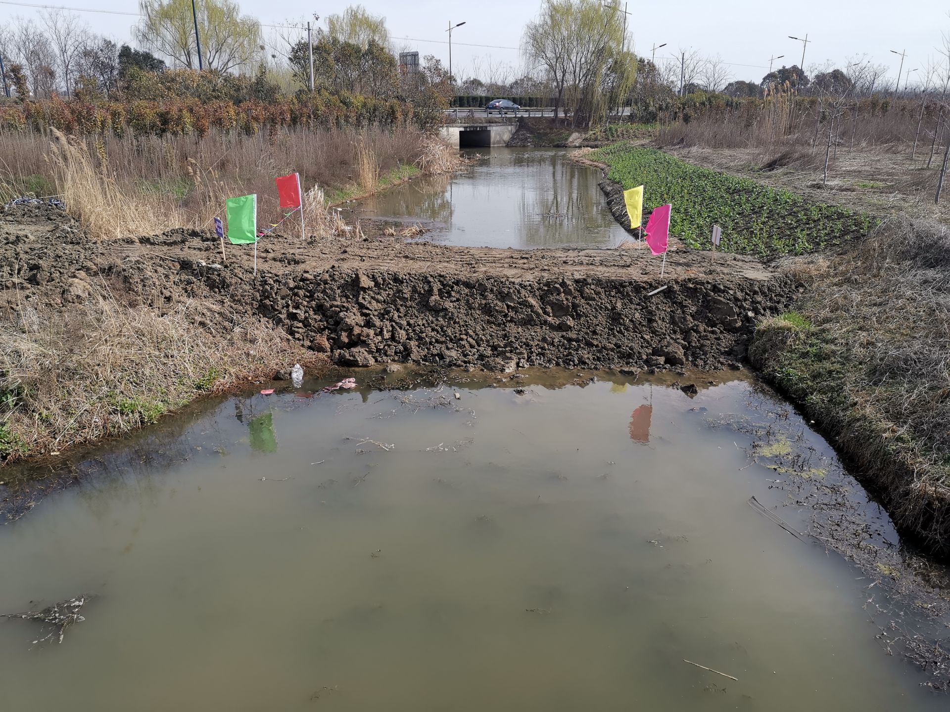 伍佑街路：施行河流歸納整頓幫力另日墟落復興河道綜合治理(圖2)