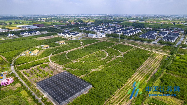 开云 开云体育第二届射阳·特庸桑蚕文化节暨“双招双引”推介会举行(图2)