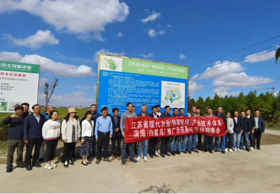 技术加持 盐城滨海推广示范基地助力AG真人白首乌产业高质量发展(图3)