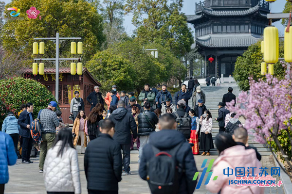 盐城大丰梅花湾2024梅花文化系列活动正式启动摄影家与“抢镜”争春(图6)