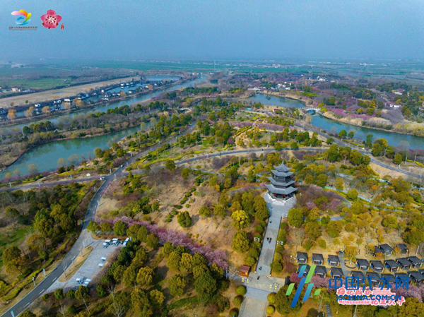 盐城大丰梅花湾2024梅花文化系列活动正式启动摄影家与“抢镜”争春(图7)