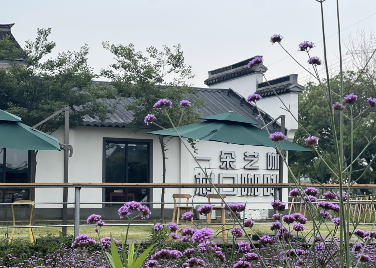 看浙江先行路丨“养猪大村”变美开云 开云体育官网丽乡村引青年人“回巢”创业共致富