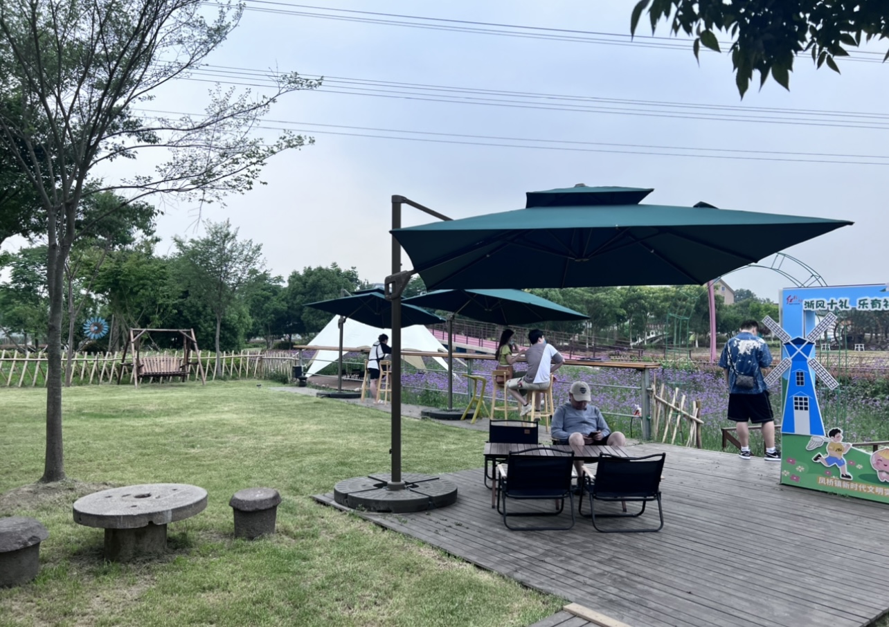 看浙江先行路丨“养猪大村”变美开云 开云体育官网丽乡村引青年人“回巢”创业共致富(图2)