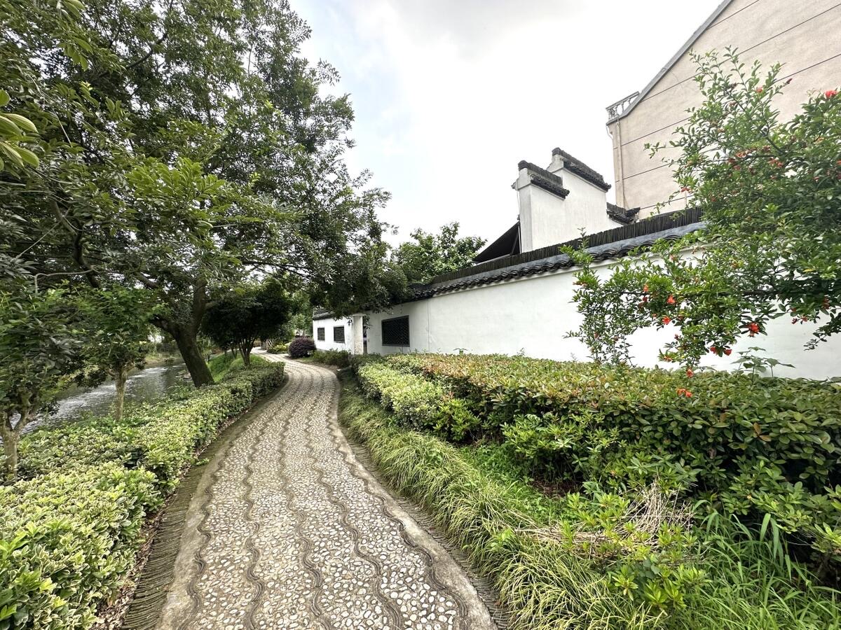 看浙江先行路丨“养猪大村”变美开云 开云体育官网丽乡村引青年人“回巢”创业共致富(图4)